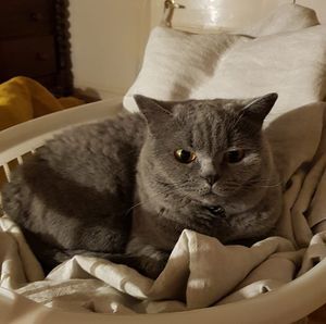 Meet your Posher, Kellie